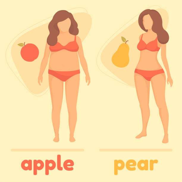 obesity woman body type, apple and pear, vector figure overweight
